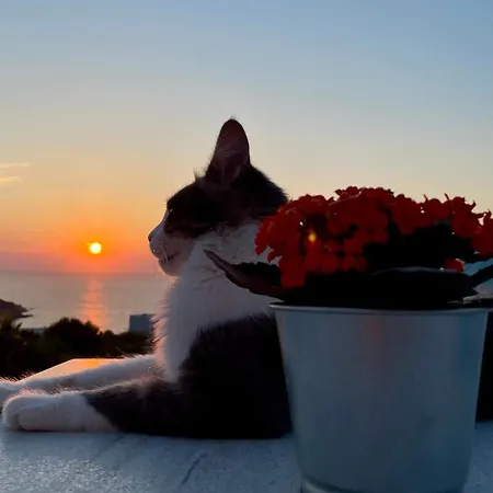 아파트 Captain's 키니언