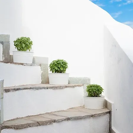 Captain's * 키니언