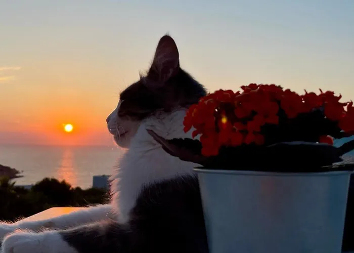 Lägenhet Captain's Kini